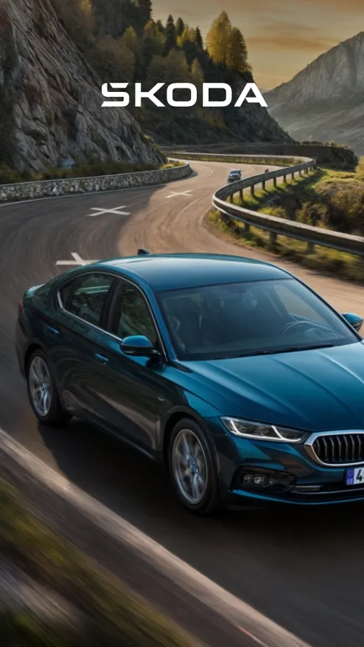 <p>Award-winning websites for Škoda Auto and their official car dealers. </p>