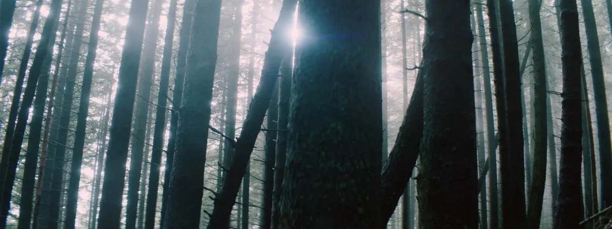 Motivating people
to slow down and
take a break